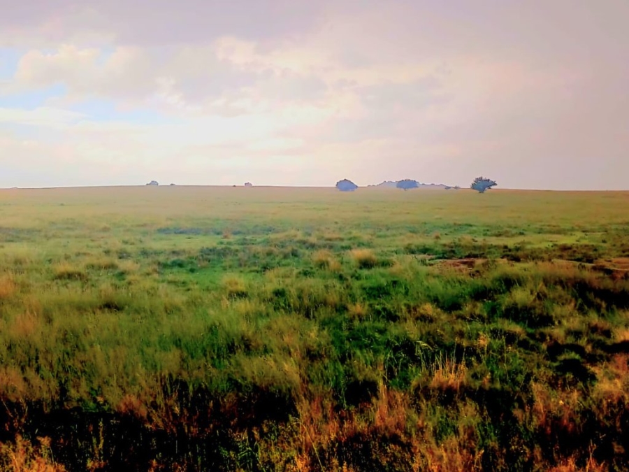 3 Bedroom Property for Sale in Bloemfontein Rural Free State